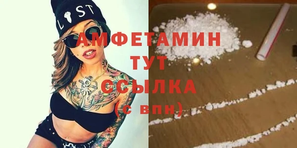 тгк Нея