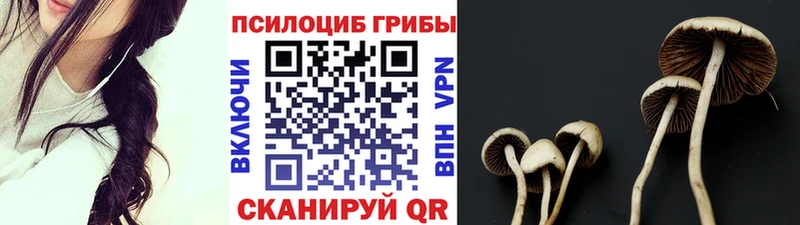 закладки Кириши мега зеркало Псилоцибиновые грибы мухоморы